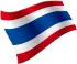 india-flag
